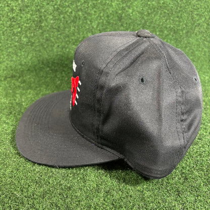 Vintage New York Giants Snapback Hat NFL