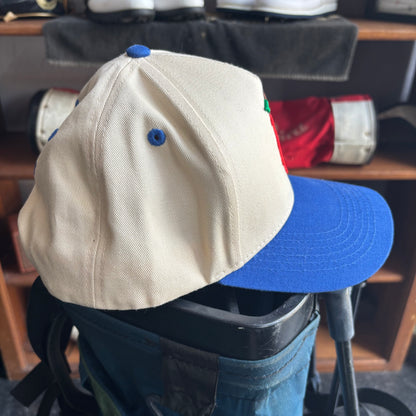 New York NY big apple blue and white snapback