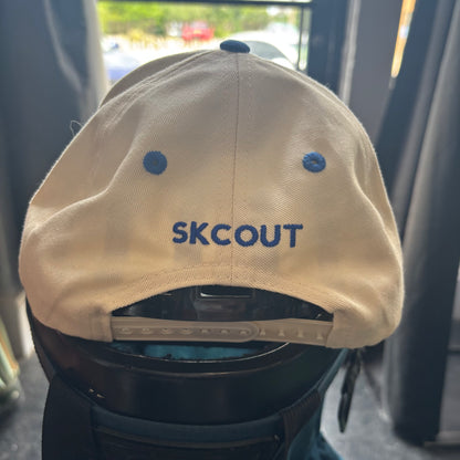 New York NY big apple blue and white snapback