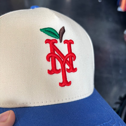 New York NY big apple blue and white snapback